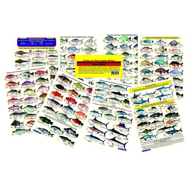 Complete Anglers Guide New South Wales (4 card pack) V2-cd017