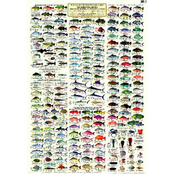 Complete Fisherman's Guide - Queensland & Great Barrier Reef V2-cam901711